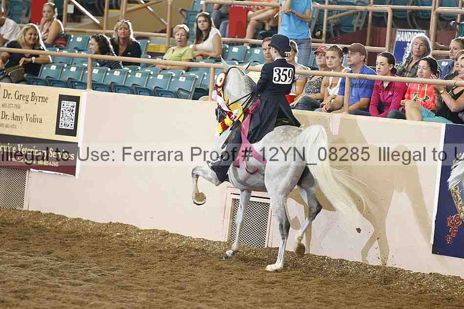 Proof 12yn_08285