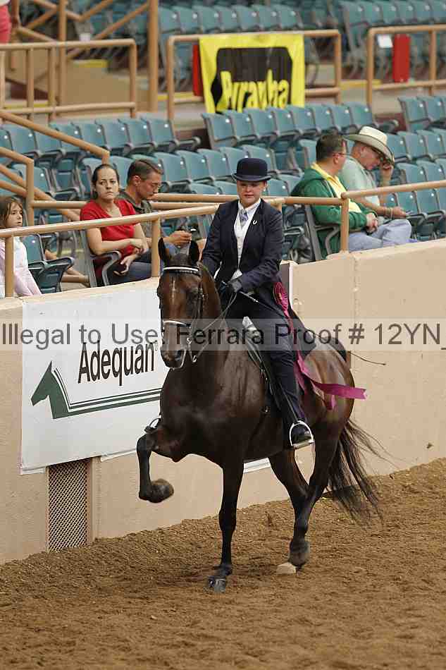 Proof 12yn_08287