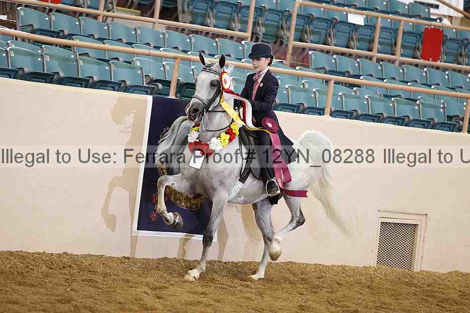 Proof 12yn_08288