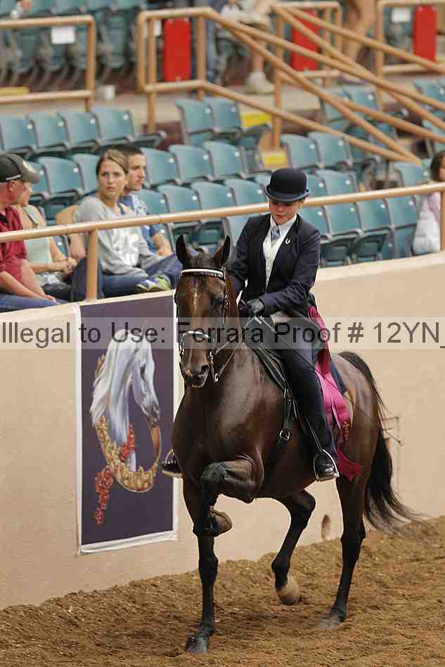 Proof 12yn_08290