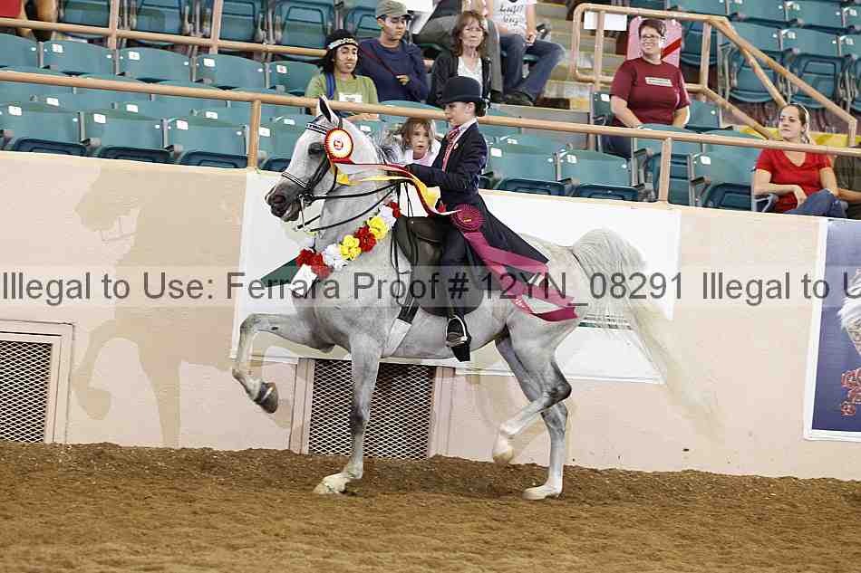Proof 12yn_08291
