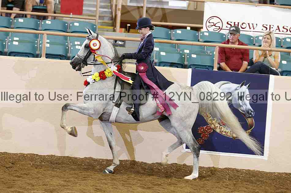 Proof 12yn_08292
