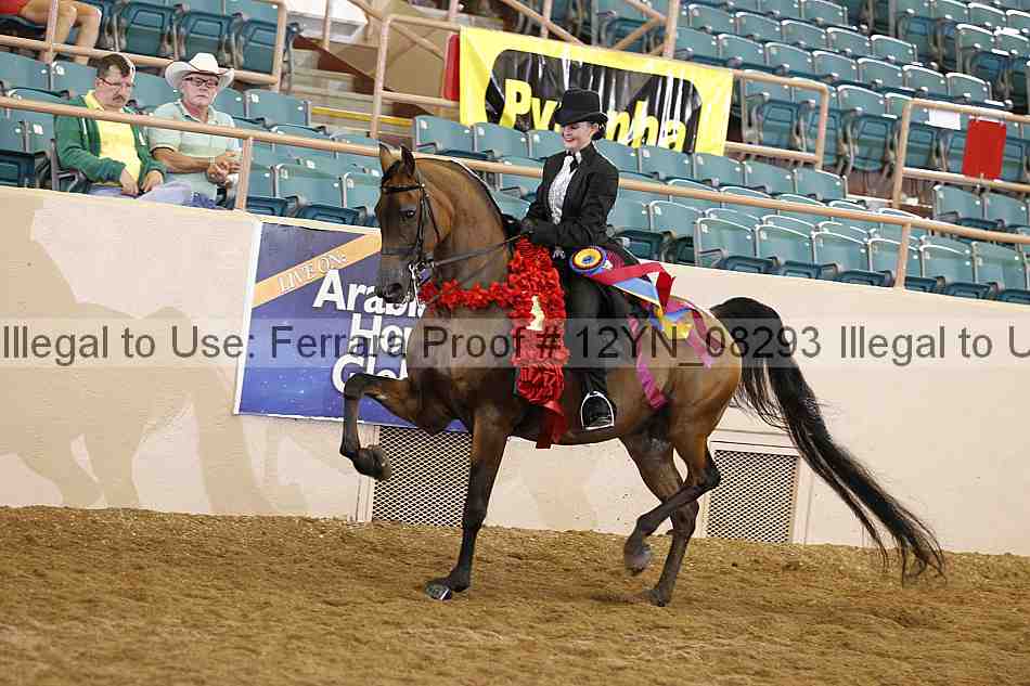 Proof 12yn_08293
