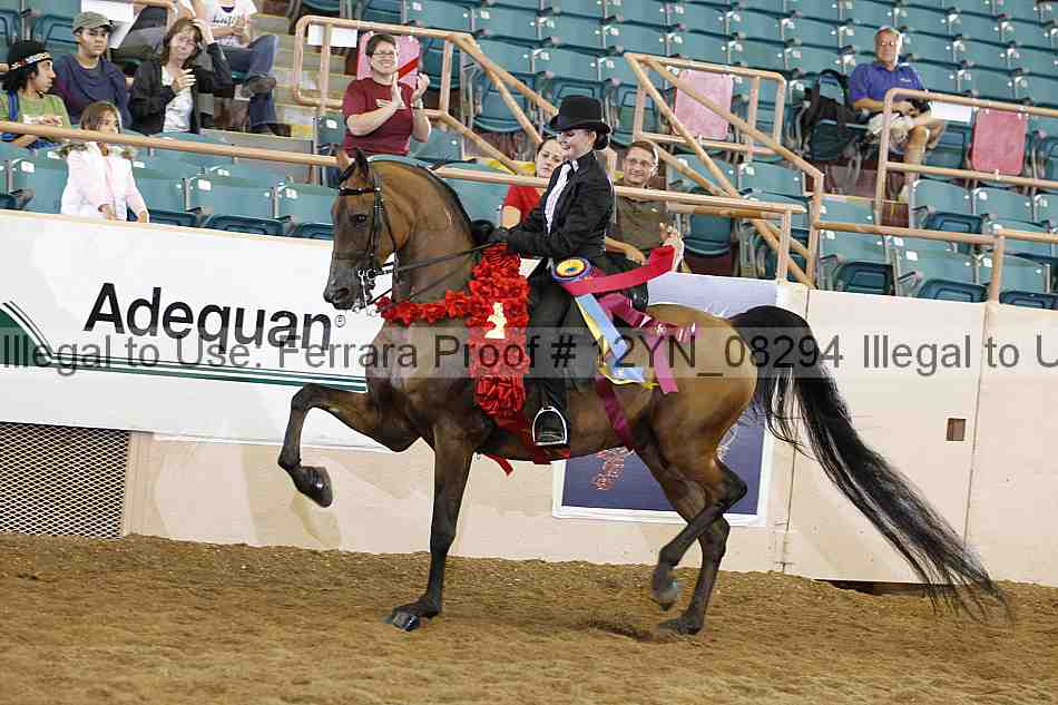 Proof 12yn_08294