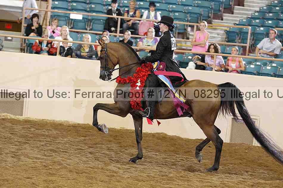 Proof 12yn_08295