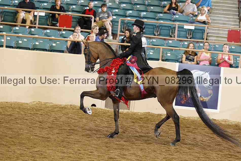 Proof 12yn_08296