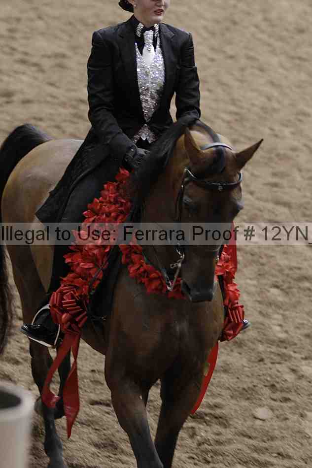 Proof 12yn_08304
