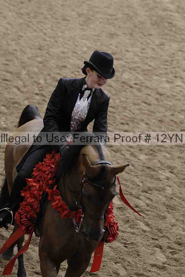 Proof 12yn_08305