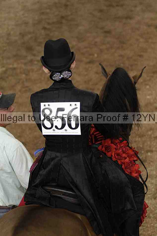 Proof 12yn_08312