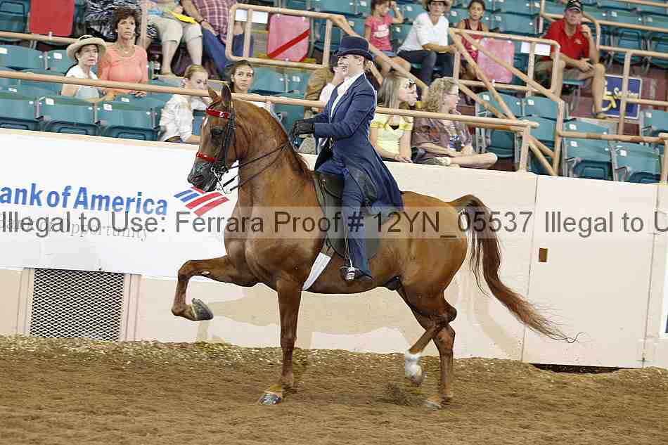 Proof 12yn_05537
