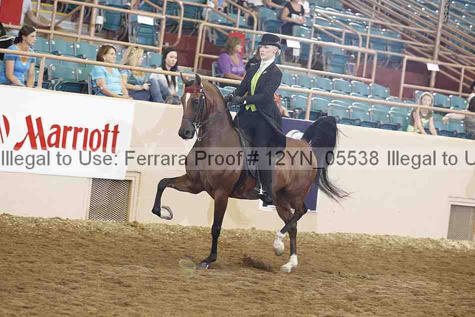 Proof 12yn_05538