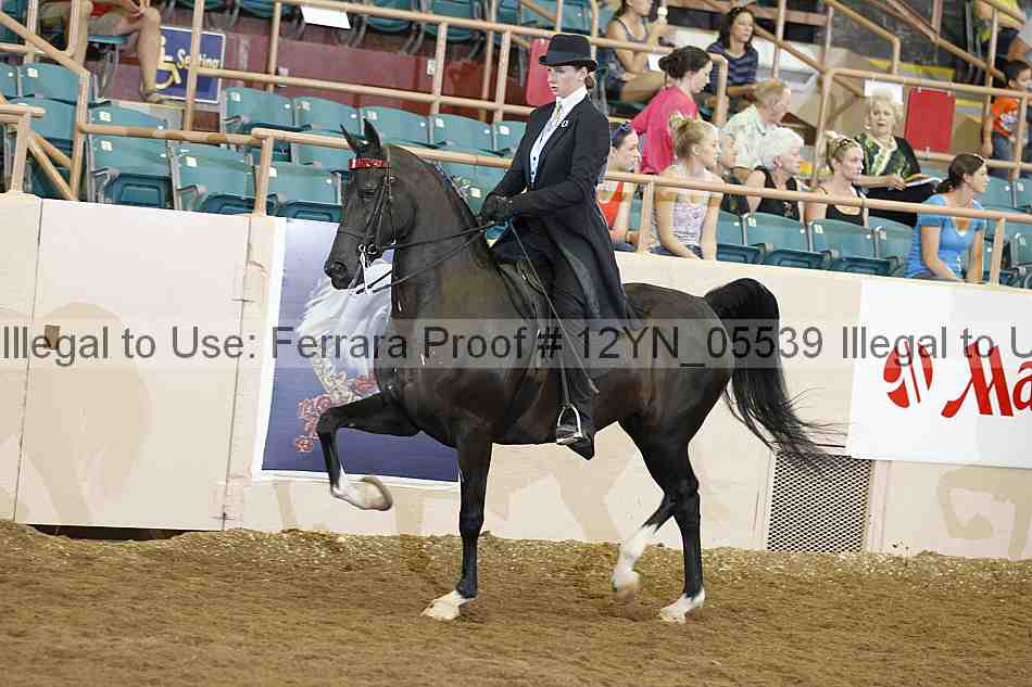 Proof 12yn_05539