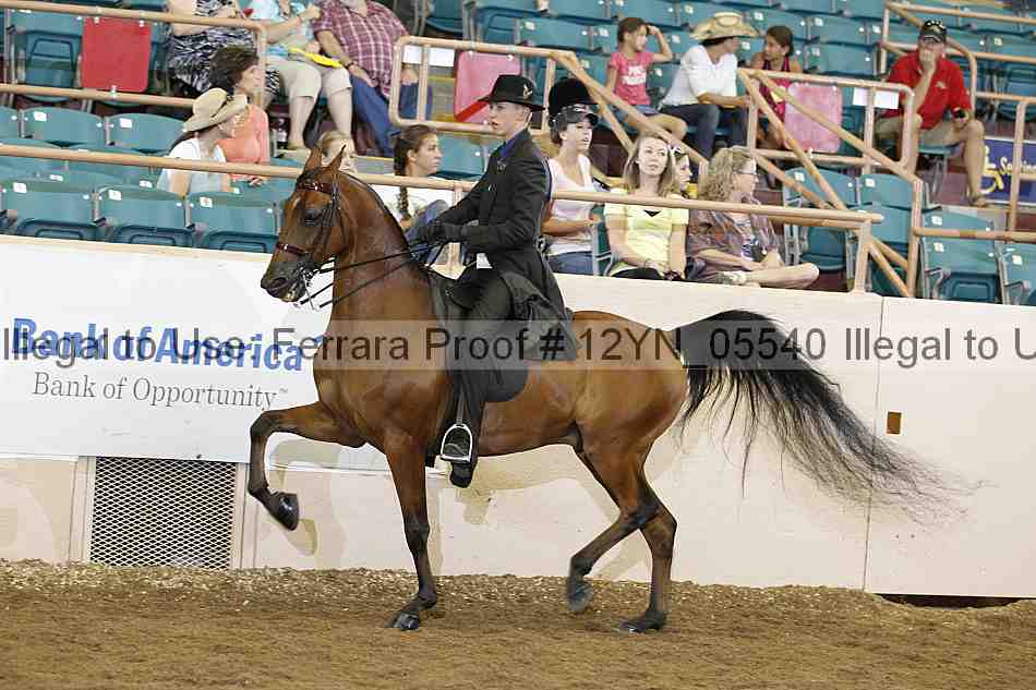 Proof 12yn_05540