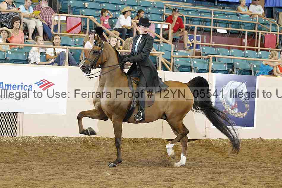 Proof 12yn_05541