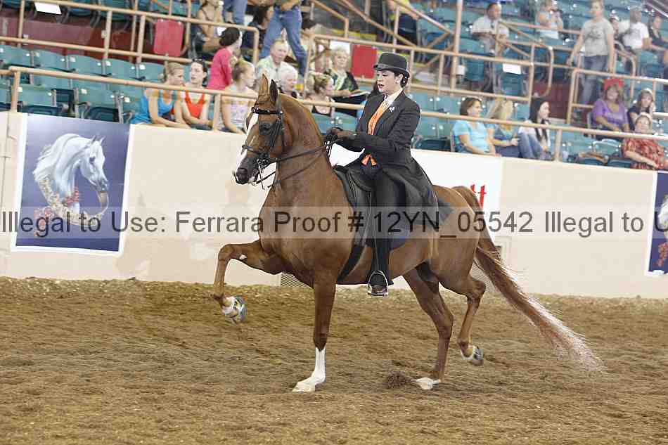 Proof 12yn_05542