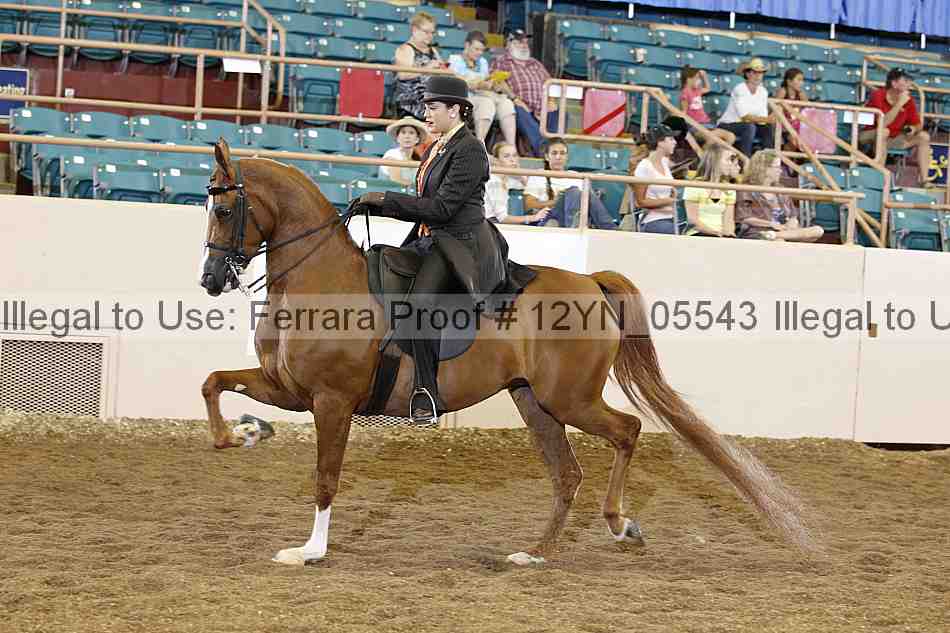 Proof 12yn_05543