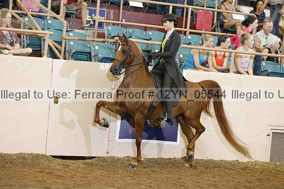 Proof 12yn_05544