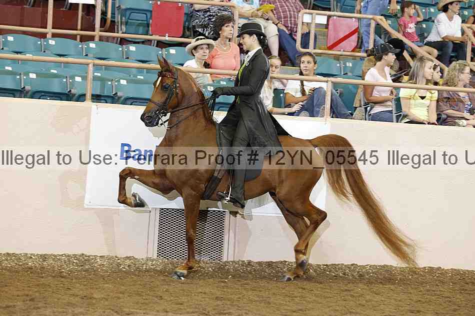 Proof 12yn_05545