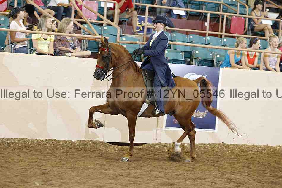 Proof 12yn_05546