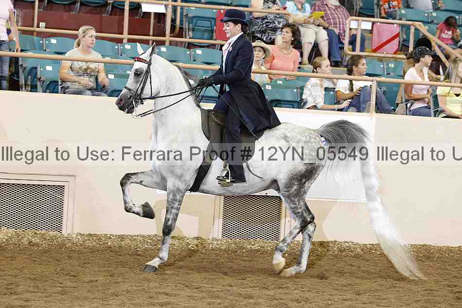 Proof 12yn_05549