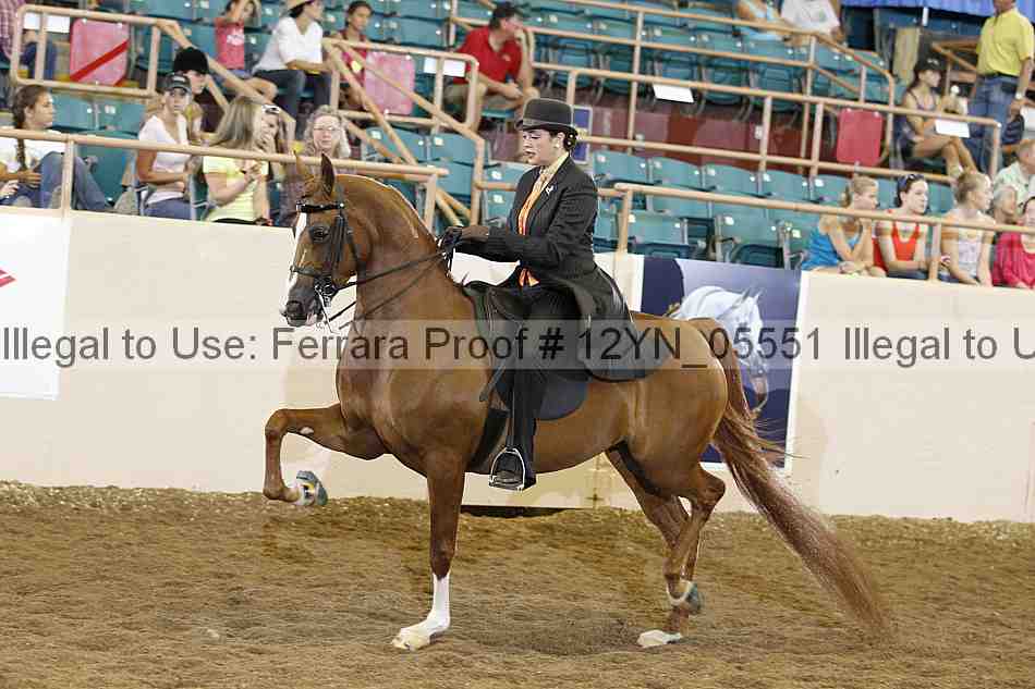Proof 12yn_05551