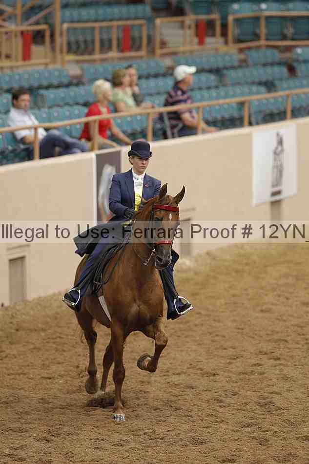 Proof 12yn_05552