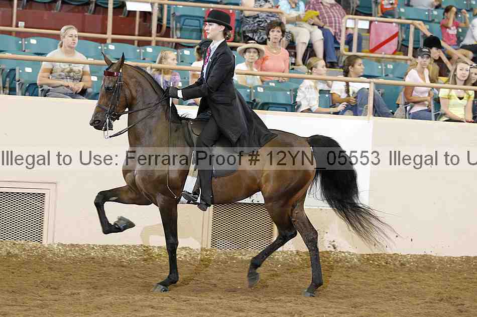 Proof 12yn_05553
