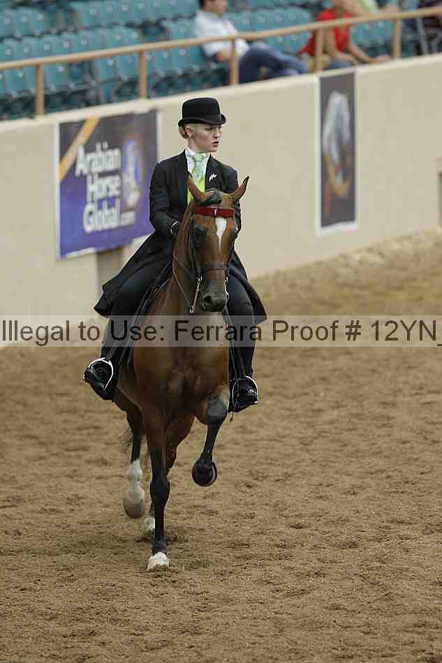 Proof 12yn_05554