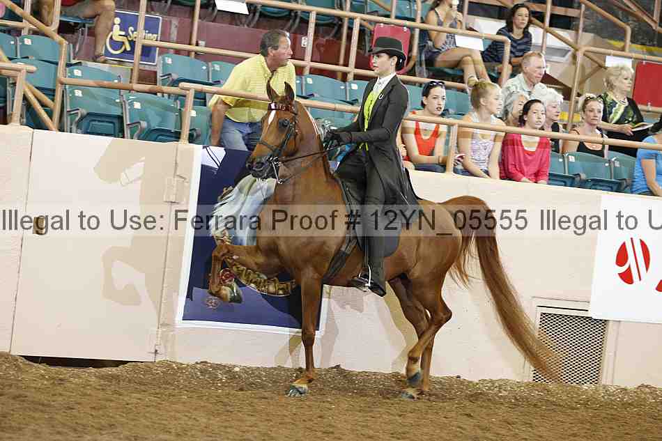 Proof 12yn_05555