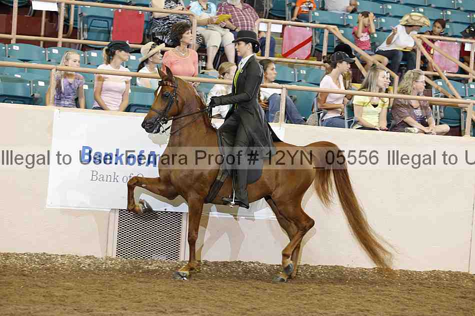 Proof 12yn_05556