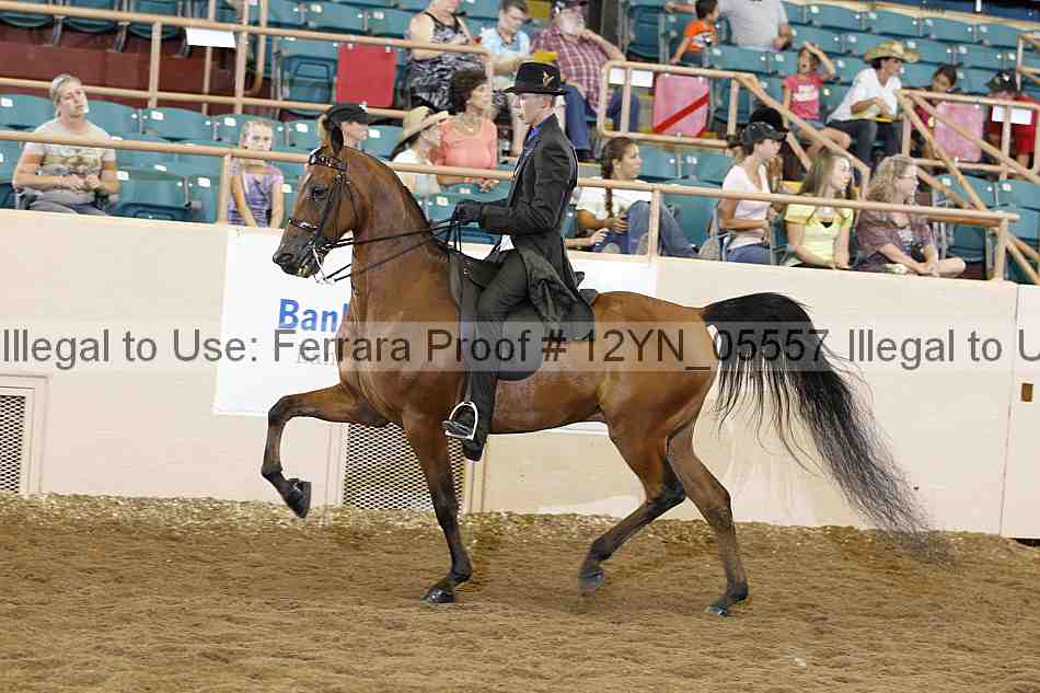 Proof 12yn_05557