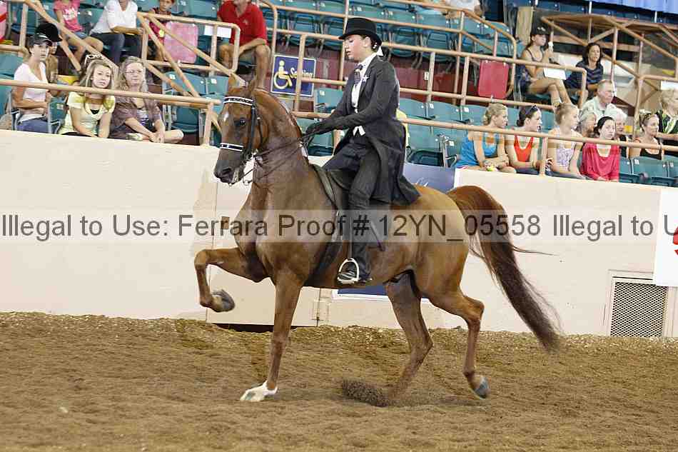Proof 12yn_05558
