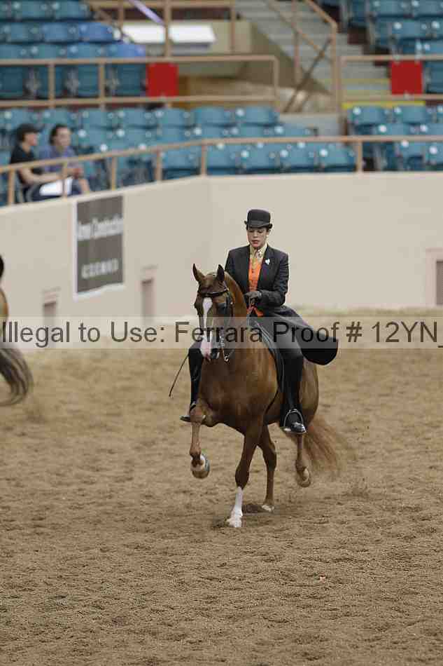 Proof 12yn_05559