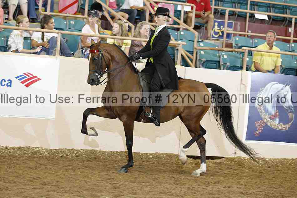 Proof 12yn_05560