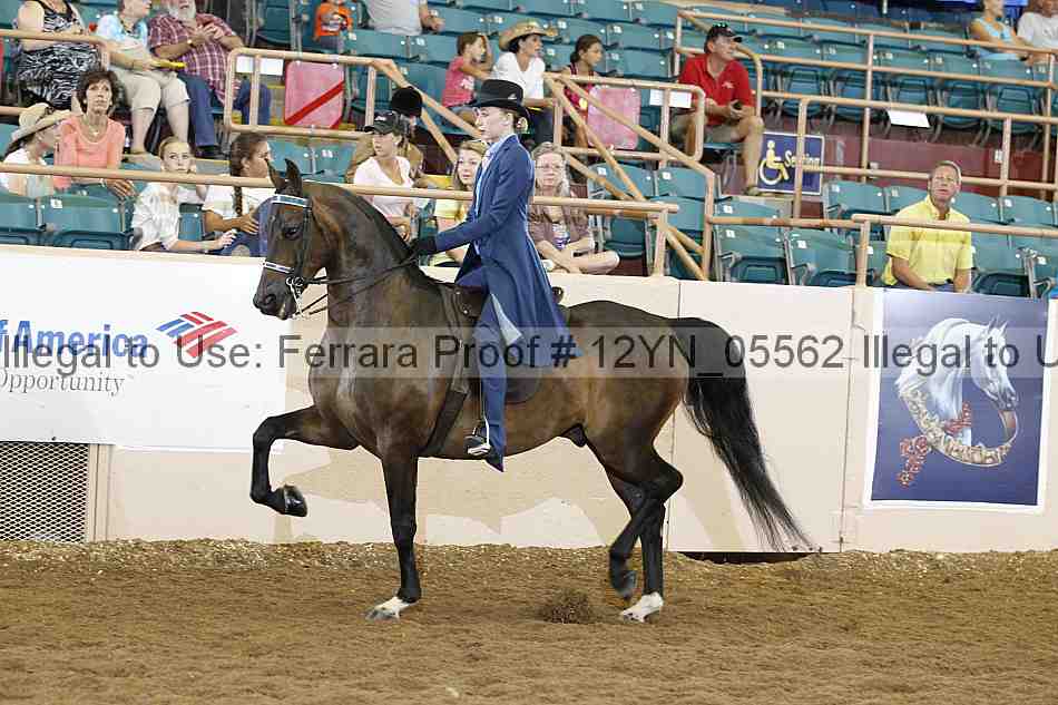 Proof 12yn_05562