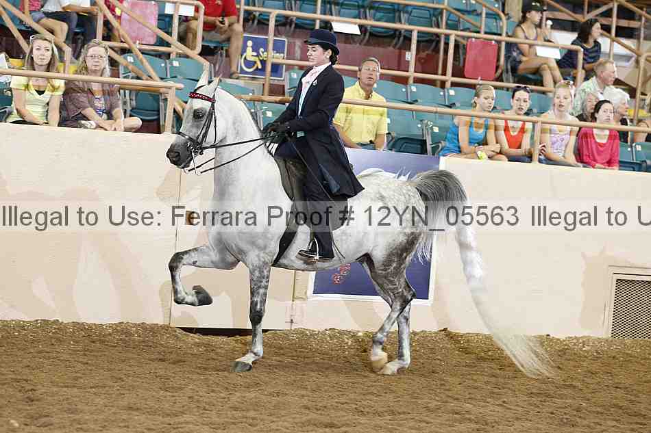 Proof 12yn_05563