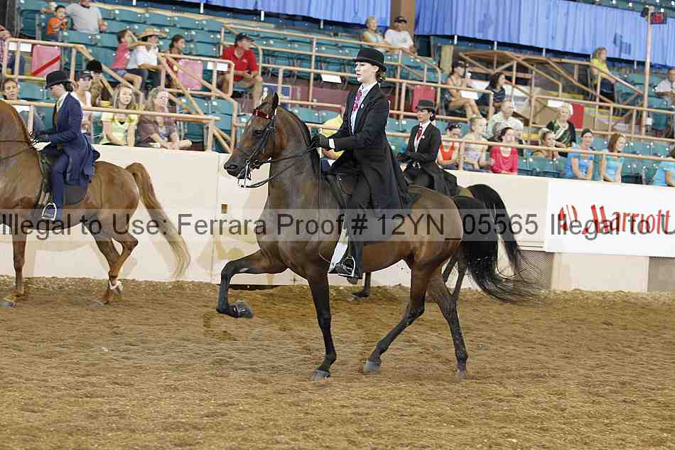 Proof 12yn_05565