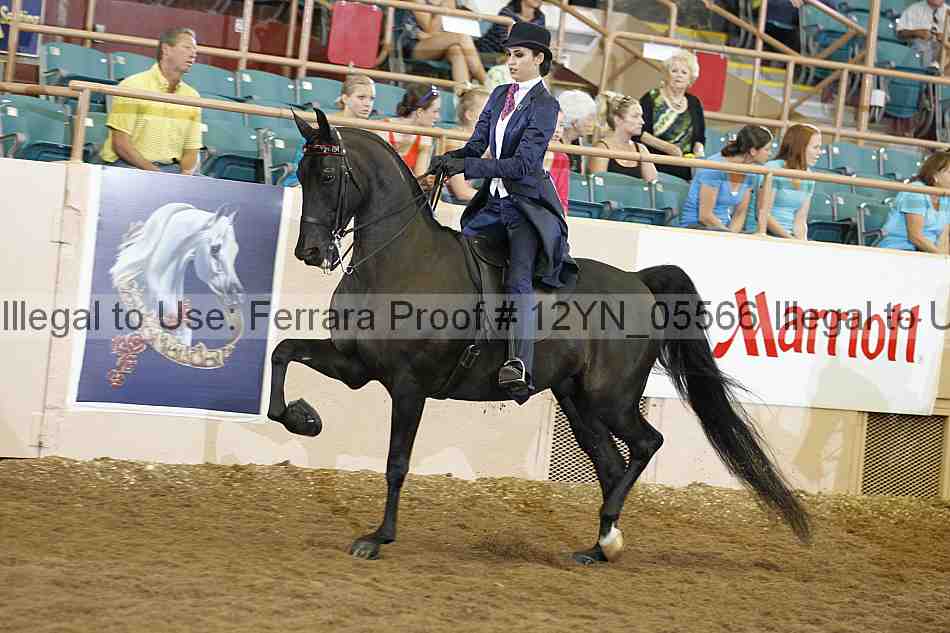 Proof 12yn_05566