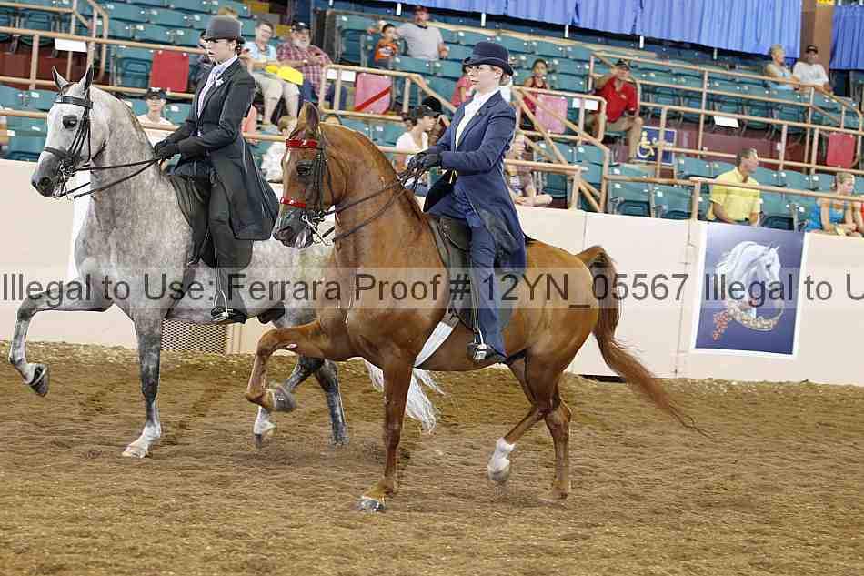 Proof 12yn_05567