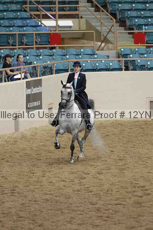 Proof 12yn_05568