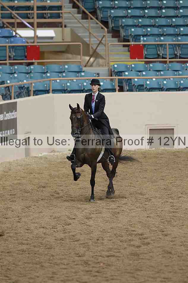 Proof 12yn_05570