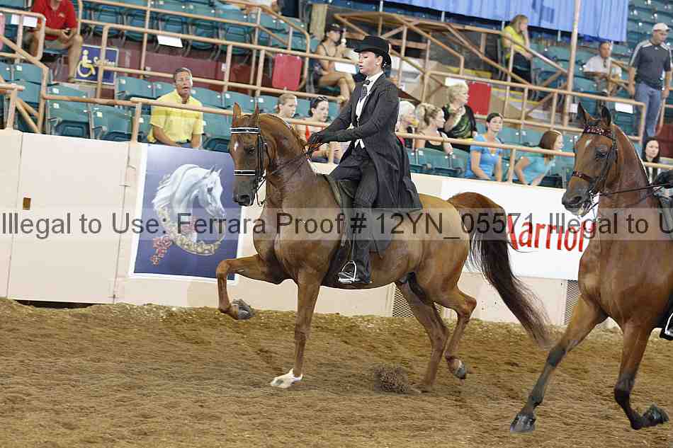 Proof 12yn_05571