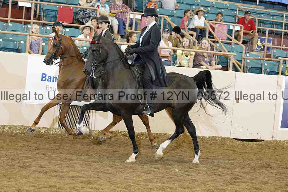 Proof 12yn_05572