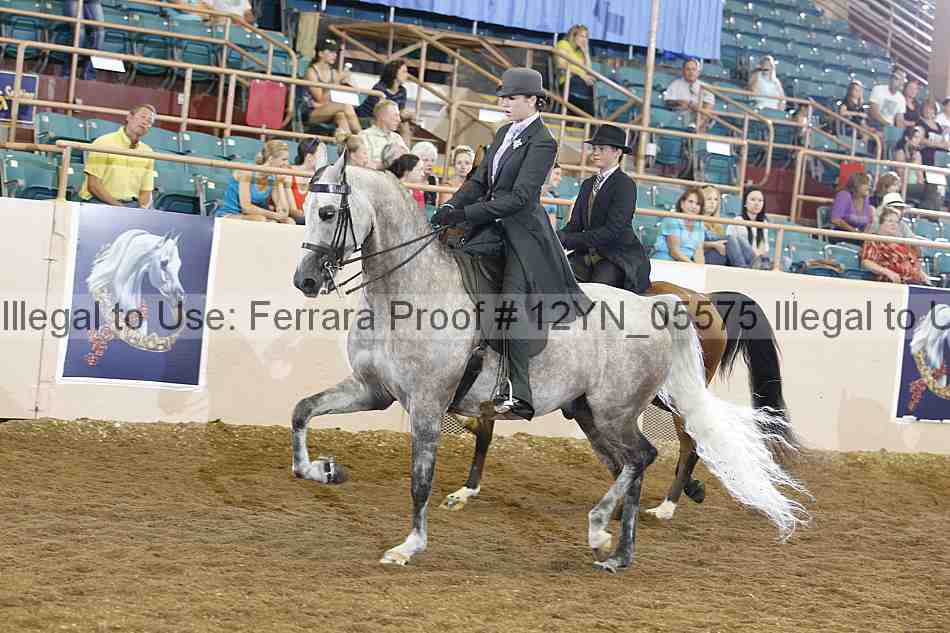 Proof 12yn_05575