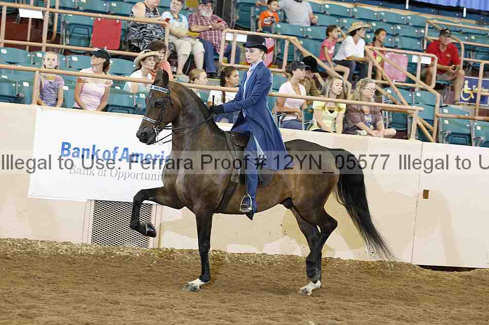 Proof 12yn_05577