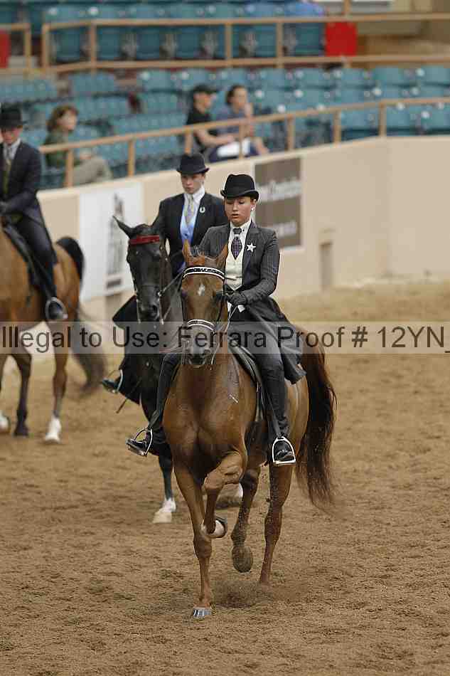 Proof 12yn_05578