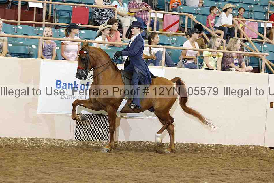 Proof 12yn_05579