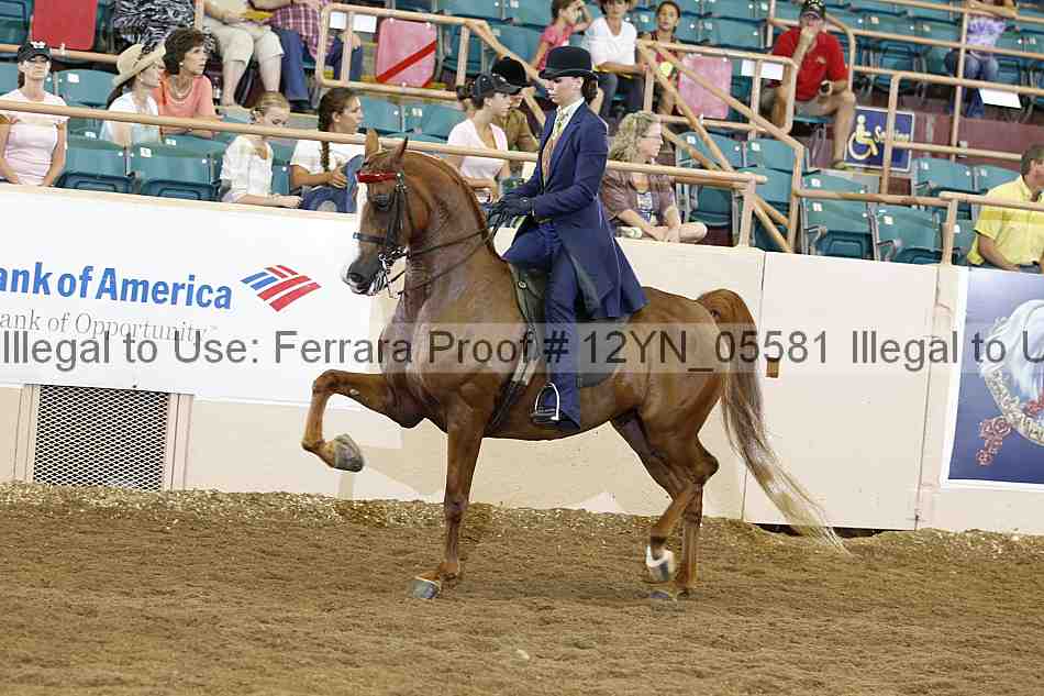 Proof 12yn_05581