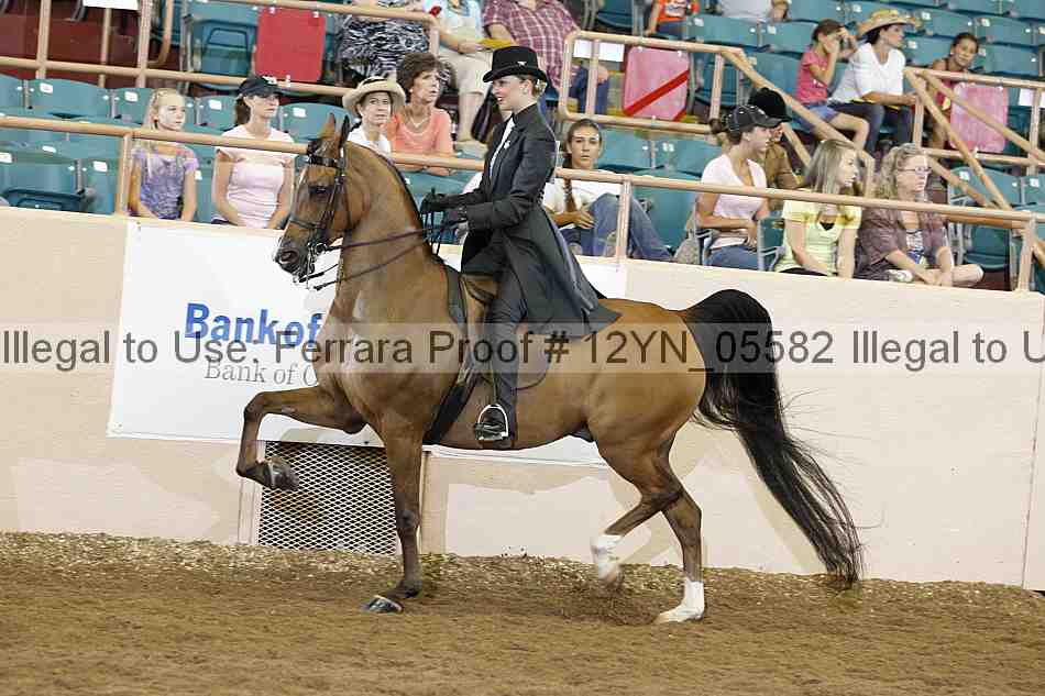 Proof 12yn_05582