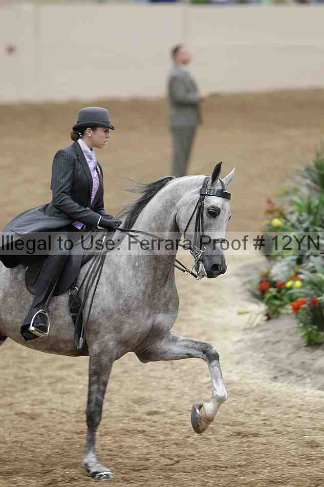 Proof 12yn_05585